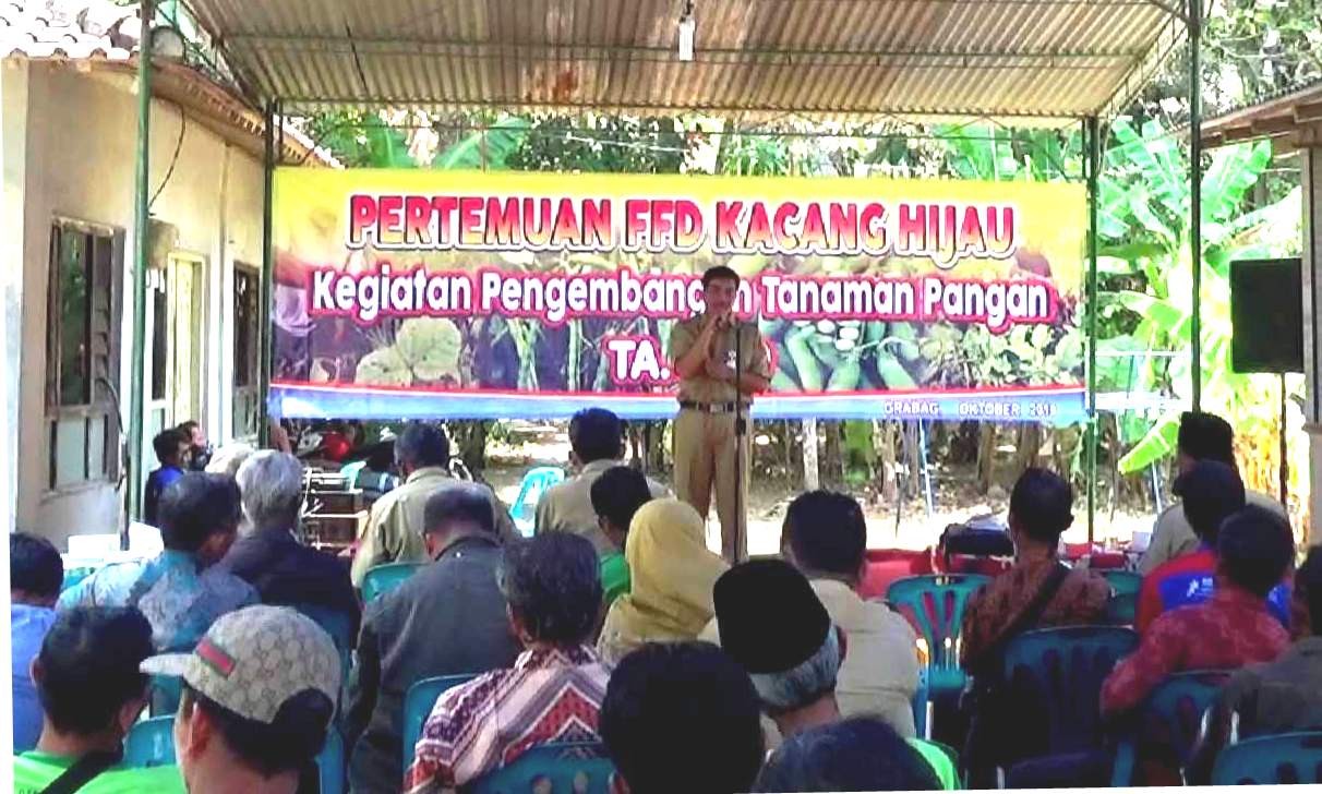 Temu Lapang Petani Pengembangan Kacang Hjau di Desa Grabag