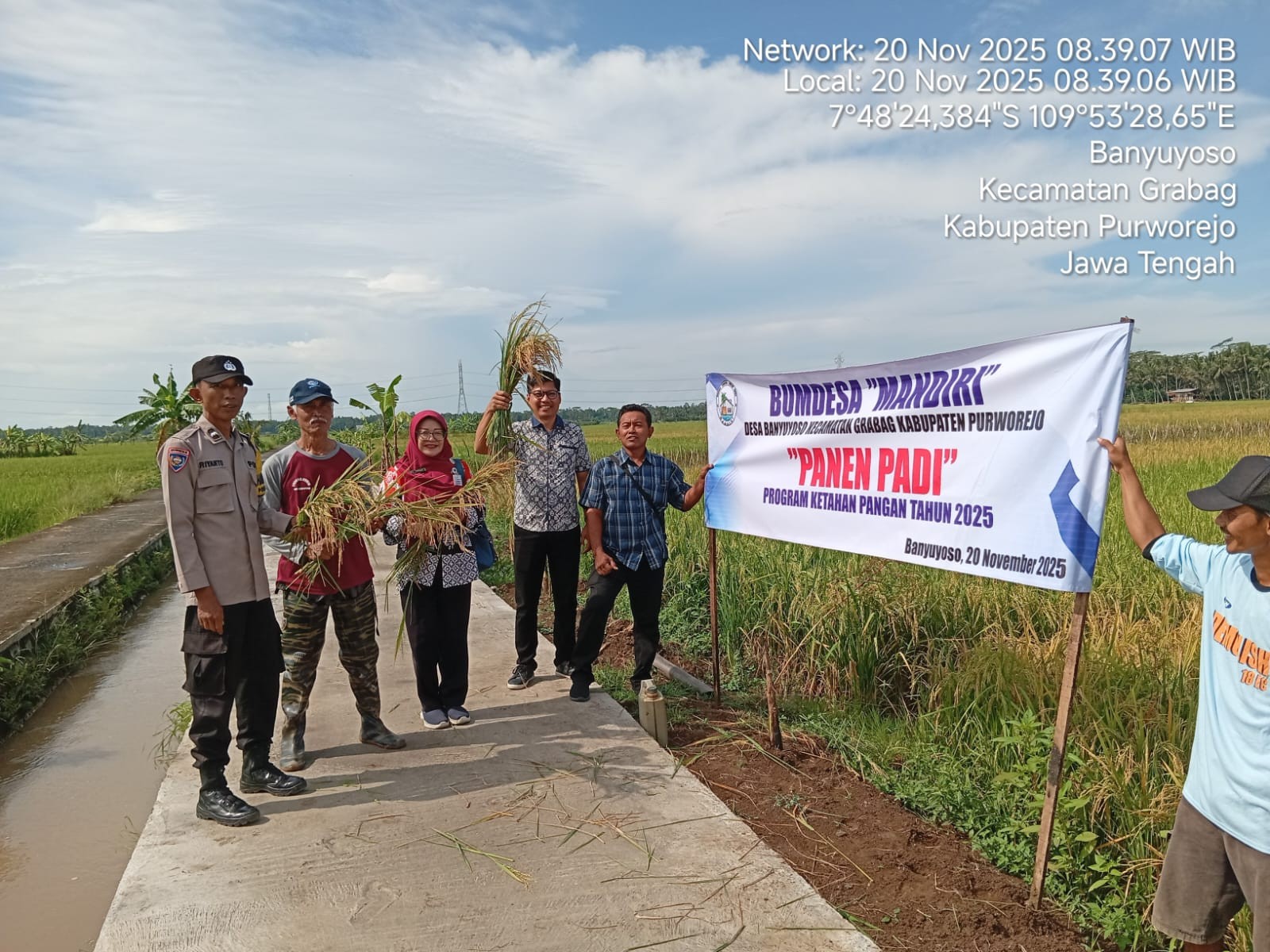 20_nov_2025_panen_pagi_program_ketapang_2025_banyuyoso.jpg