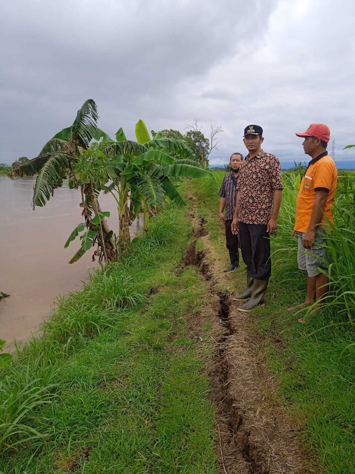 MONITORING TANGGUL KALI DI DESA NAMBANGAN 