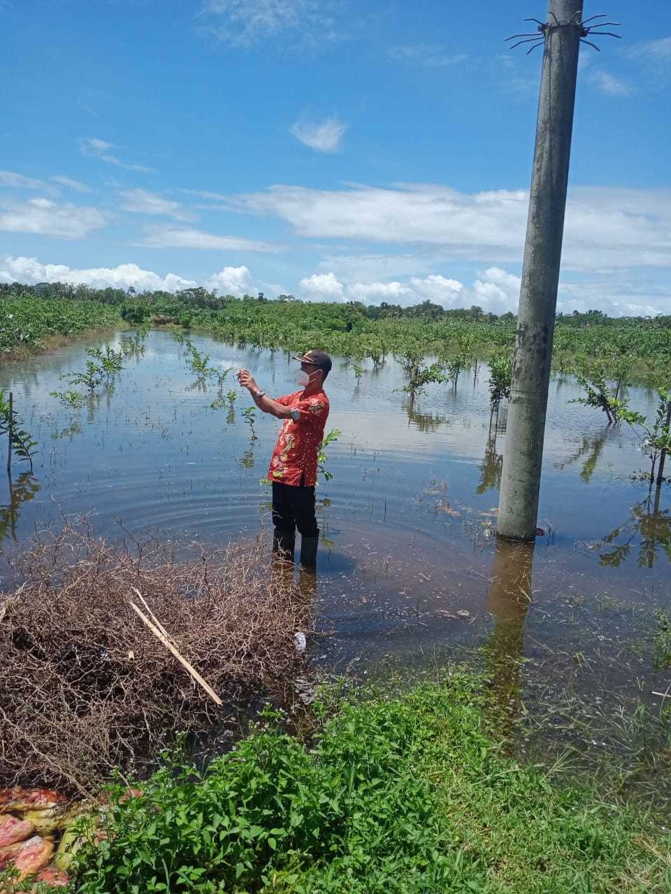 AnyConv_com__cek_lokasi_bajir.jpg