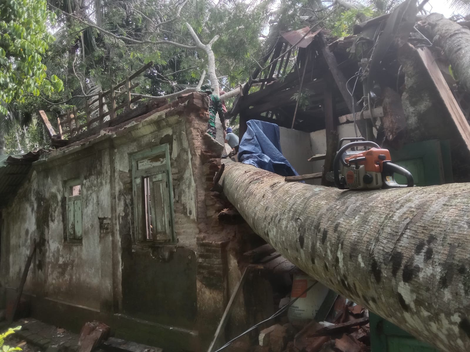 RUMAH TERTIMPA POHON TUMBANG